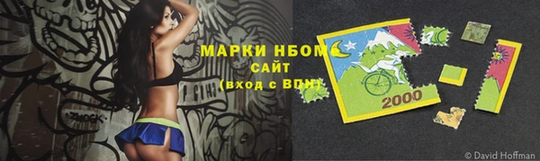 индика Иннополис