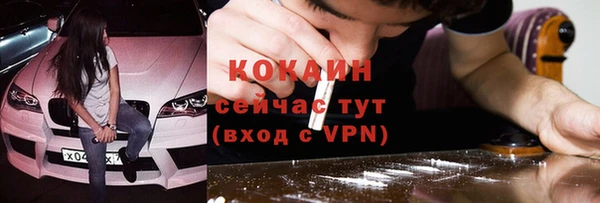 ГАЛЛЮЦИНОГЕННЫЕ ГРИБЫ Инсар