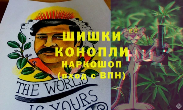 мяу мяу мука Белокуриха