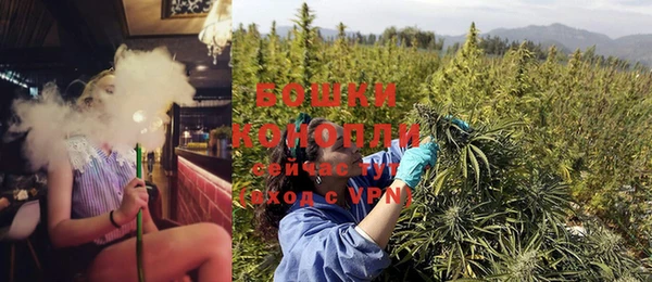 мяу мяу мука Белокуриха