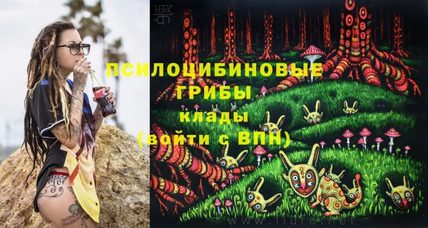прущие крисы Беломорск