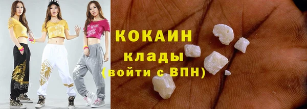 прущие грибы Аркадак